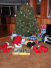 DSCF3140.JPG Sat Oct  4 20:55:57 2014
