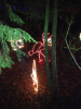 RLV_3940.JPG Tue Dec 17 19:20:25 2013
