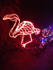 RLV_3946.JPG Tue Dec 17 20:09:07 2013