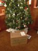 RLV_3988.JPG Thu Dec 26 19:45:57 2013