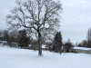 MINI_0093.JPG Sat Feb  8 08:47:30 2014