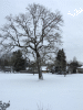 MINI_0094.JPG Sat Feb  8 08:47:35 2014