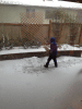 RLV_4121.JPG Thu Feb  6 17:30:37 2014