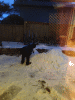 RLV_4139.JPG Thu Feb  6 18:46:39 2014