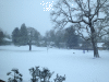 RLV_4144.JPG Fri Feb  7 18:01:06 2014