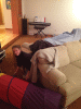 RLV_4270.JPG Tue Feb 25 20:15:03 2014