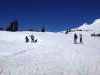 RLV_4493.JPG Sat Apr 12 13:43:05 2014