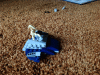 PAD_0219.JPG Sat May 17 13:39:38 2014