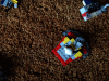 PAD_0222.JPG Sat May 17 13:40:02 2014
