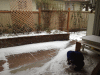 RLV_4115.JPG Thu Feb  6 14:57:54 2014