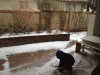 RLV_4116.JPG Thu Feb  6 14:57:59 2014