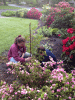 RLV_4651.JPG Sun May 18 10:35:46 2014