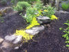 KLV_2523.JPG Fri May  9 15:14:35 2014
