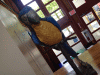 RLV_4853.JPG Mon Jun 16 16:38:05 2014