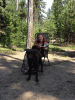 MINI_0225.JPG Sat Aug 16 14:25:25 2014