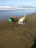 KLV_3071.JPG Fri Nov  7 13:14:02 2014