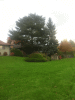 KLV_3075.JPG Sun Nov  9 17:13:35 2014