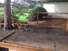 PAD_0426.JPG Sat Nov 29 13:32:41 2014
