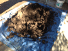 PAD_0473.JPG Sat Jan 24 15:01:27 2015