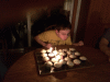 KLV_3325.JPG Sat Feb 14 19:34:01 2015