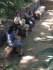 RLV_5877.JPG Mon Mar 16 11:46:02 2015