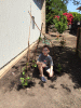 KLV_3682.JPG Sun May  3 12:44:00 2015