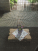 RLV_6216.JPG Fri May  1 06:37:44 2015