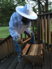 RLV_6217.JPG Fri May  1 20:20:09 2015
