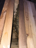 RLV_6219.JPG Fri May  1 20:20:22 2015