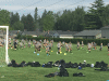 RLV_6303.JPG Wed May 20 17:48:50 2015