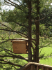 RLV_6322.JPG Mon May 25 16:23:49 2015