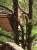 RLV_6325.JPG Mon May 25 16:25:23 2015