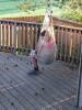 RLV_6333.JPG Fri May 29 20:03:57 2015