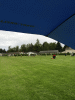 RLV_6345.JPG Wed Jun  3 17:24:36 2015