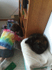 RLV_6358.JPG Sat Jun  6 09:55:44 2015