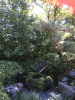 KLV_3878.JPG Fri Jul 24 11:11:52 2015
