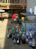 RLV_6598.JPG Sun Aug  9 10:11:06 2015