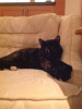 PAD_0590.jpg Thu Oct 22 21:31:54 2015