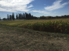 RLV_6937.JPG Sun Oct  4 12:14:02 2015