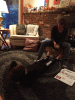 RLV_6985.jpg Fri Oct 23 18:08:45 2015