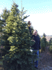 KLV_4142.jpg Sat Nov 28 11:15:13 2015