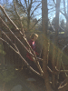 RLV_7187.jpg Thu Nov 26 11:59:54 2015