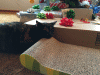 KLV_4195.jpg Fri Dec 25 12:06:55 2015
