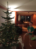 RLV_7256.jpg Sat Dec  5 08:26:48 2015