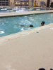 RLV_7293.jpg Mon Dec 14 17:46:56 2015