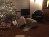 RLV_7395.jpg Fri Dec 25 07:45:00 2015