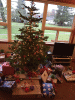 RLV_7404.jpg Fri Dec 25 09:29:16 2015