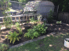 RLV_8374.JPG Mon Jul 25 11:26:56 2016