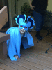 RLV_8453.jpg Thu Dec  1 10:00:43 2016