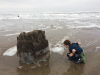 KLV_5125.jpg Thu Dec  1 10:01:16 2016
